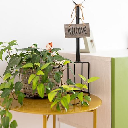 Springhome - Cozy Apartment With Balcony & Parking Brasov Exterior photo